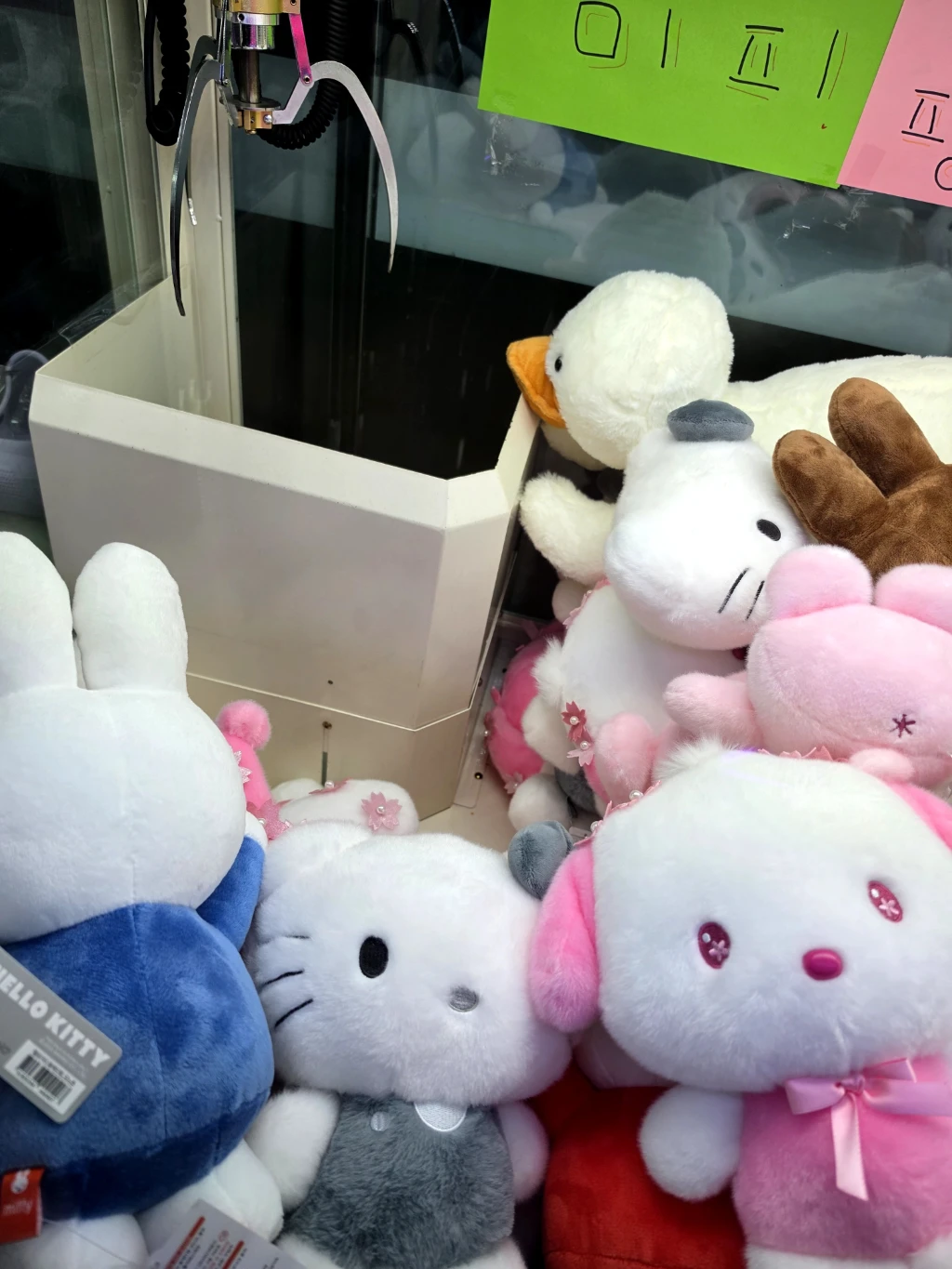 팡팡배틀존 사용자 등록 사진