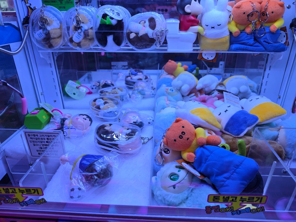레인보우캐슬 청대점 매장 사진