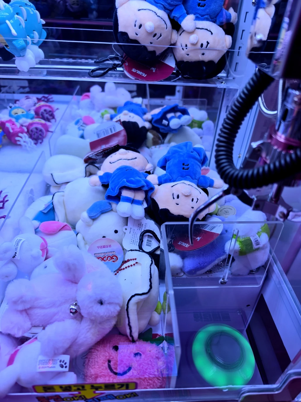 레인보우캐슬 청대점 매장 사진
