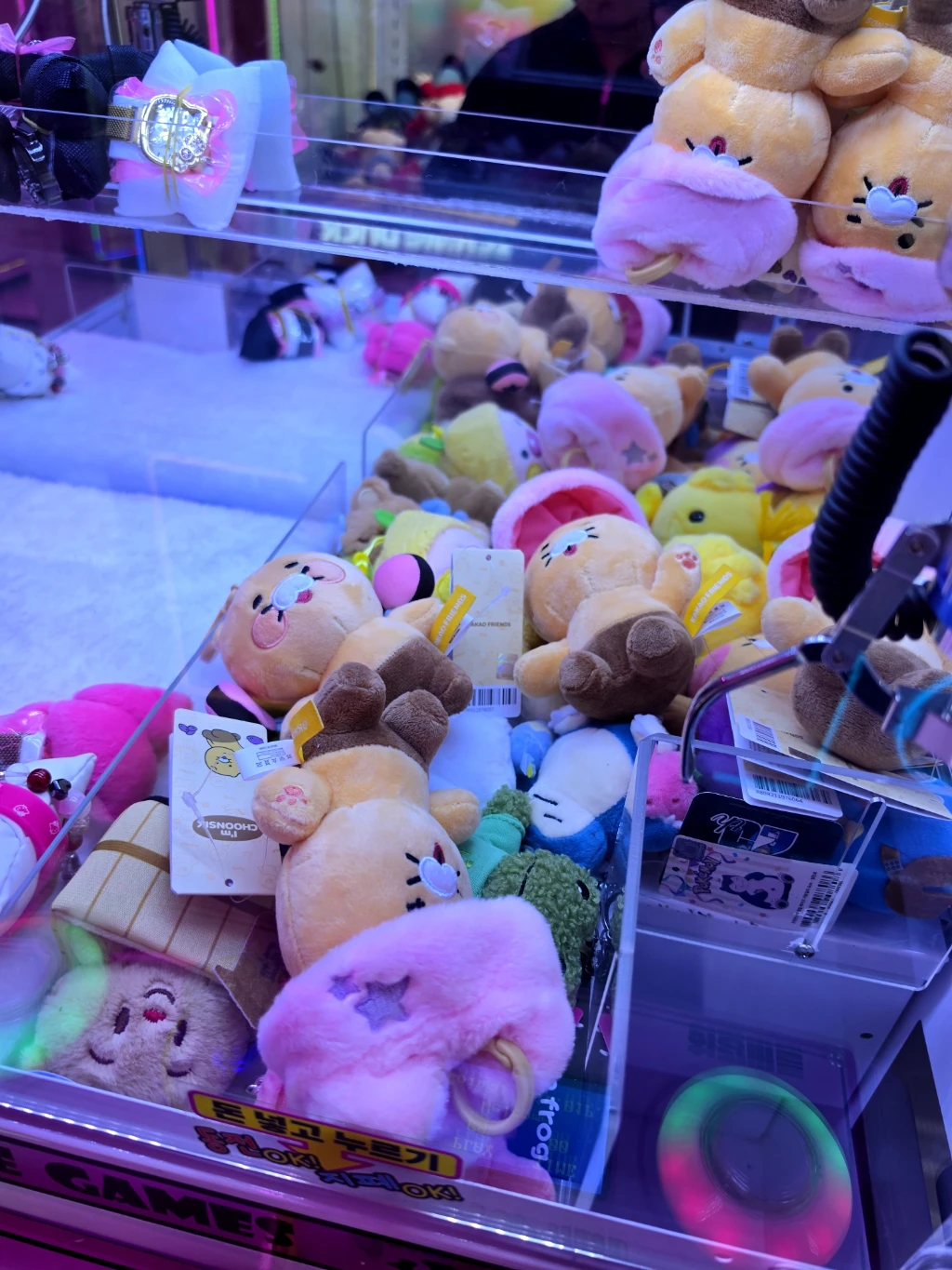 레인보우캐슬 청대점 사용자 등록 사진