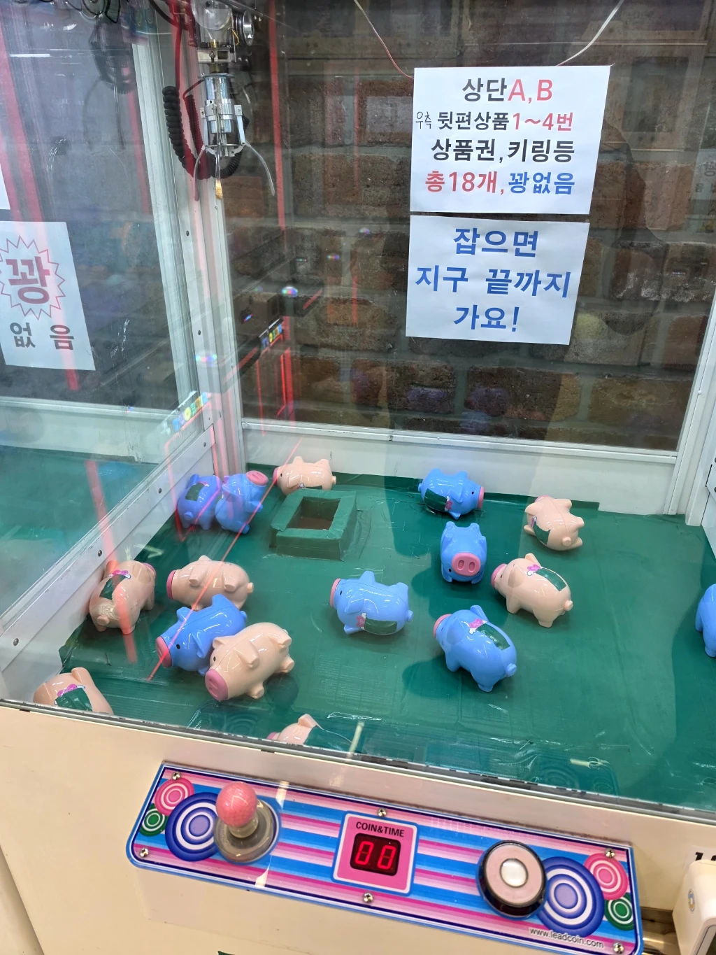 덴덴타운 사용자 등록 사진