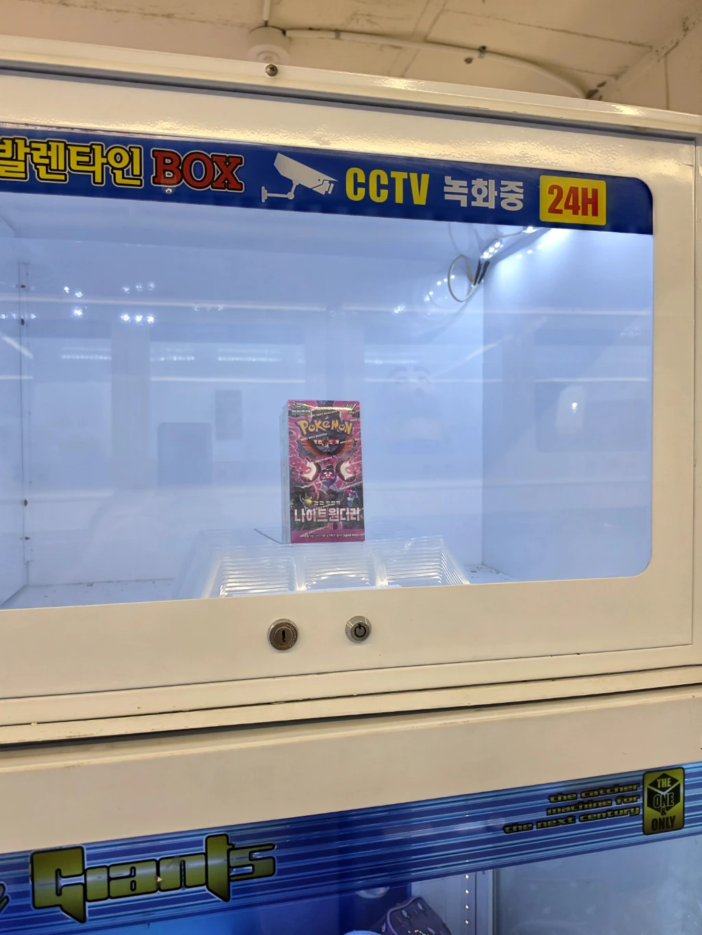 덴덴타운 사용자 등록 사진