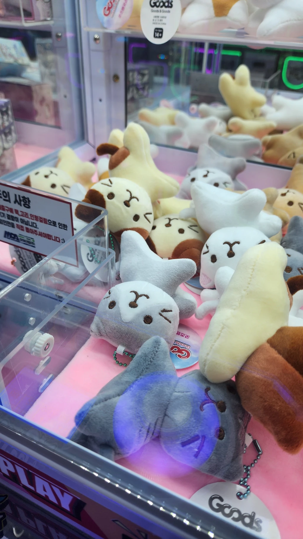 HUNTER DOG 매장 사진