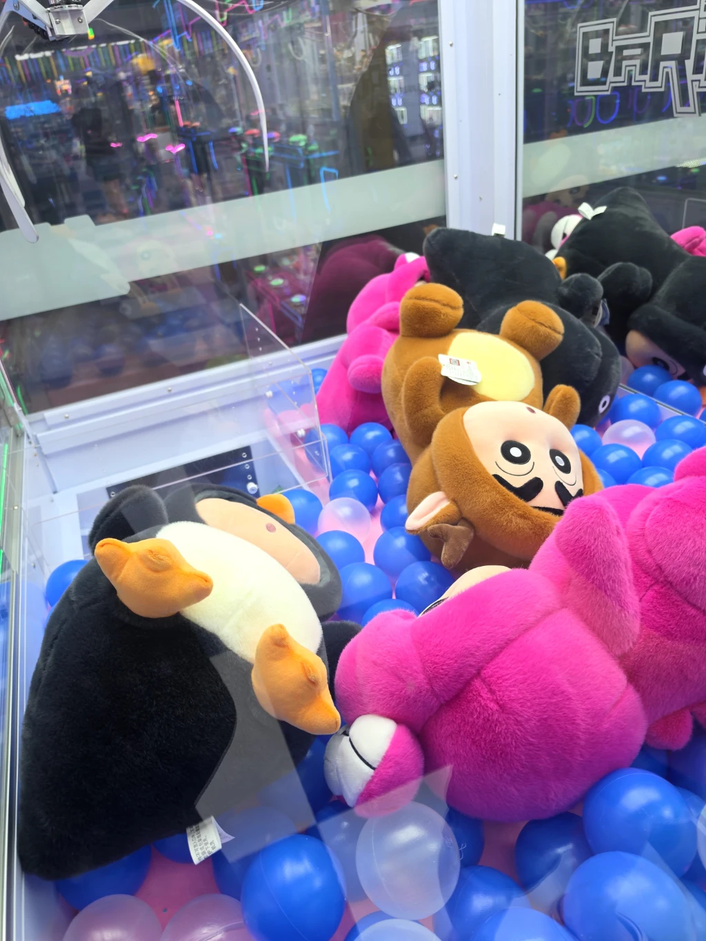 HUNTER DOG 매장 사진