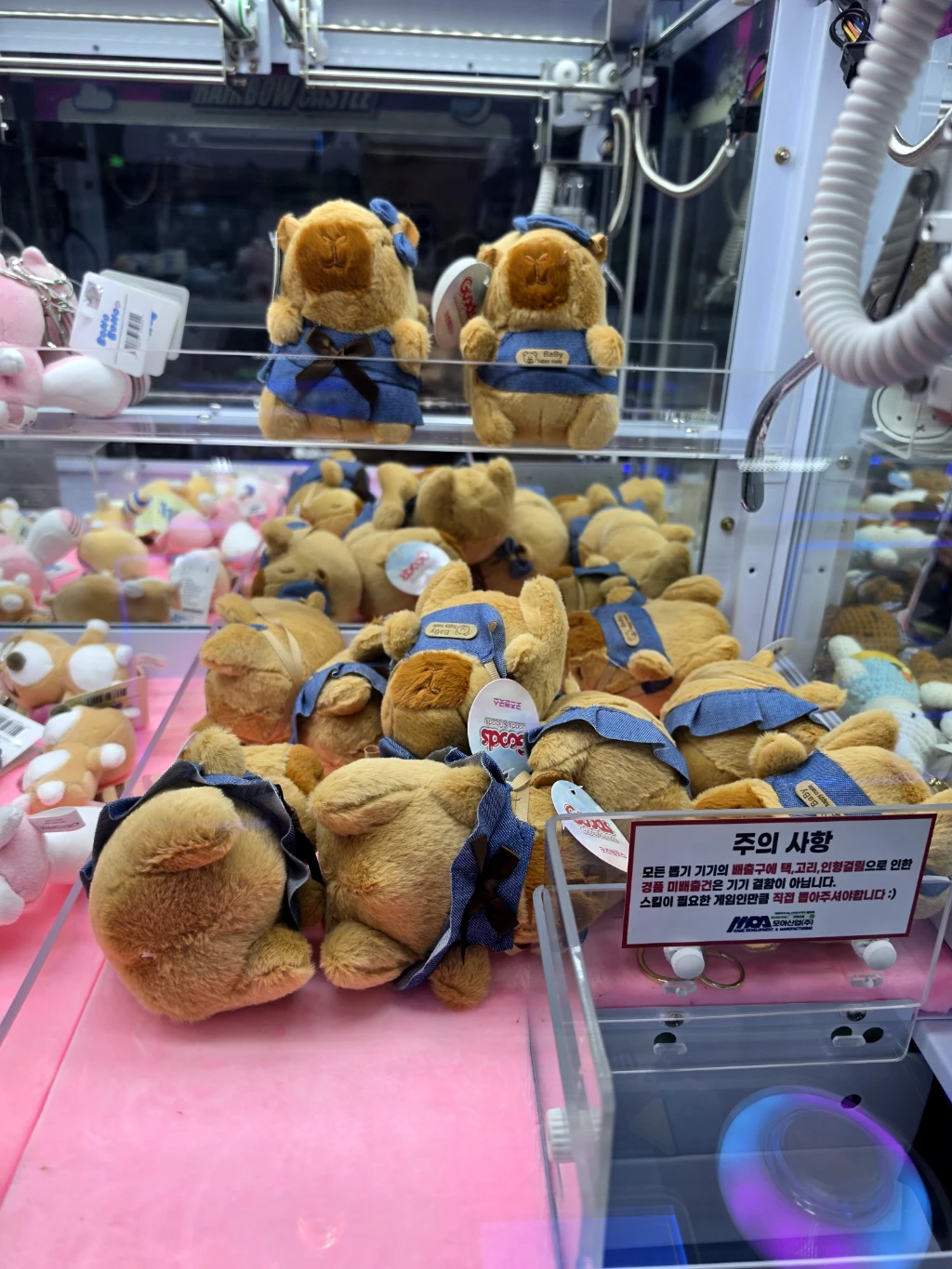 HUNTER DOG 매장 사진