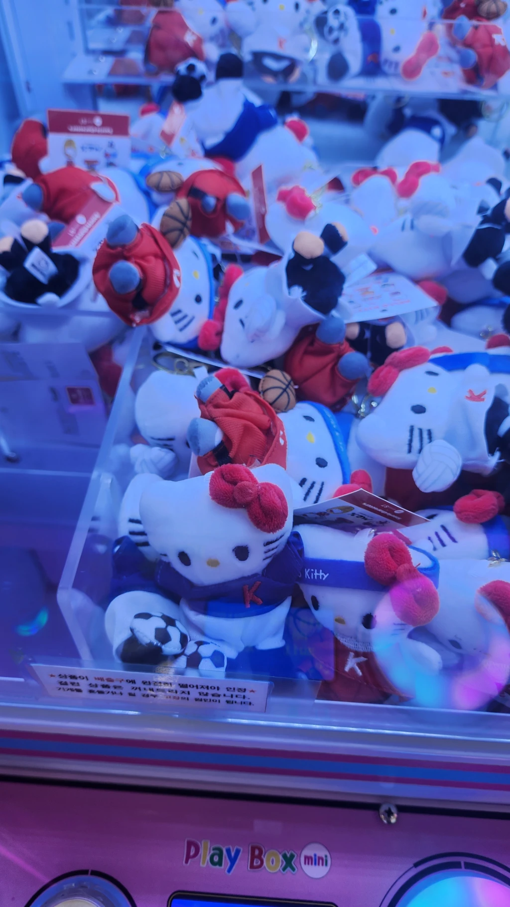 DOLL MART 매장 사진