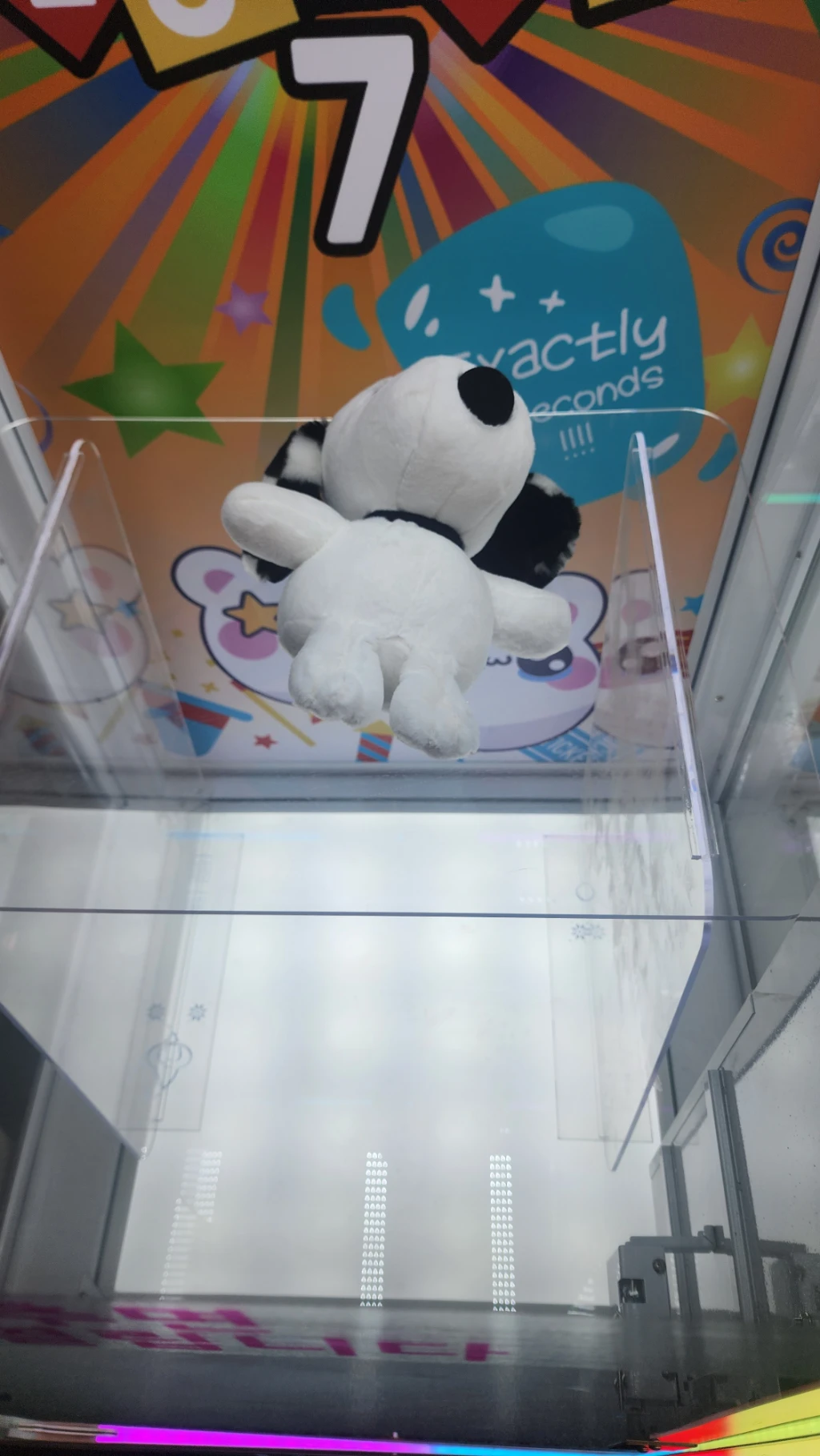 DOLL MART 매장 사진