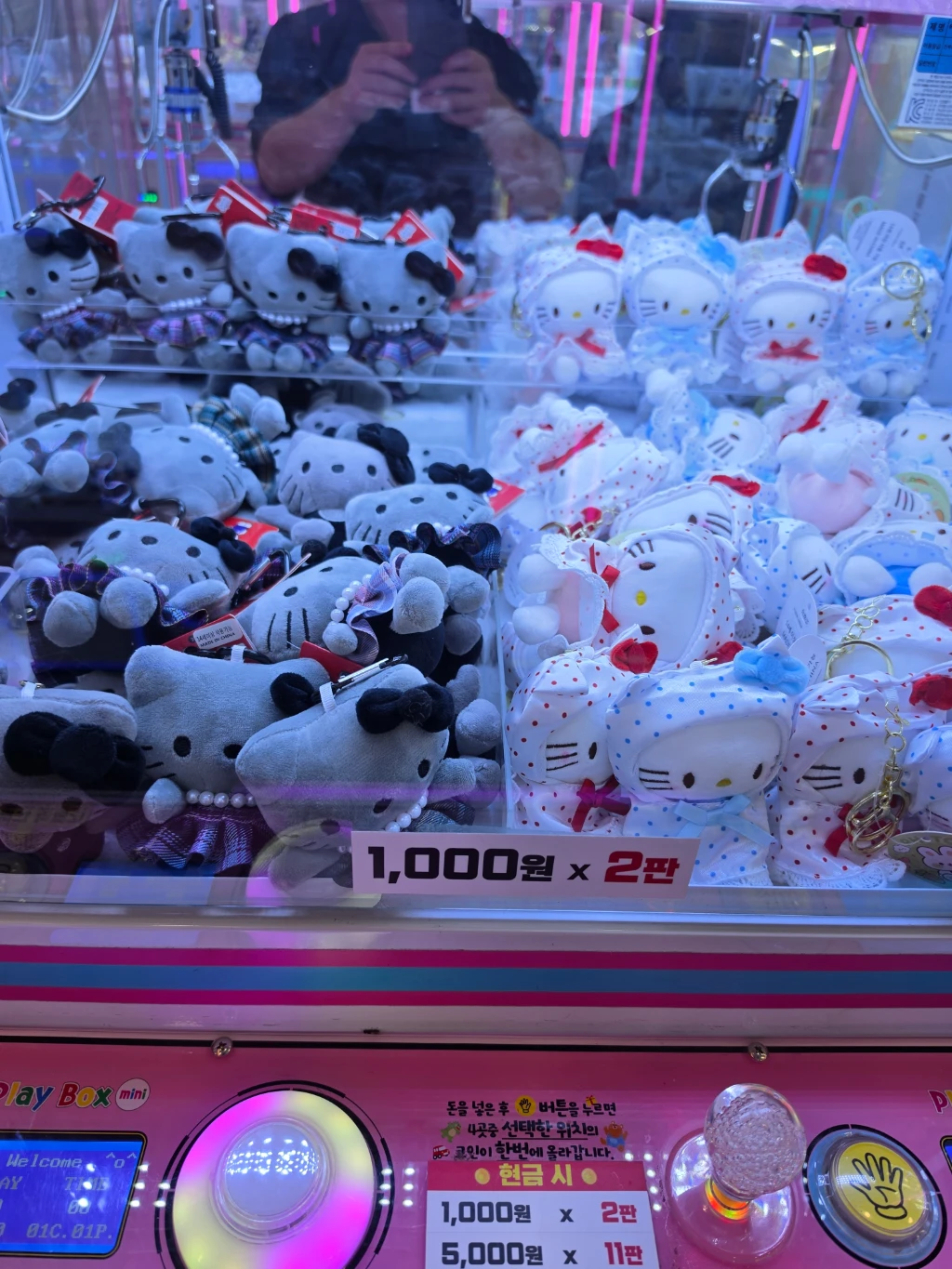 DOLL MART 매장 사진