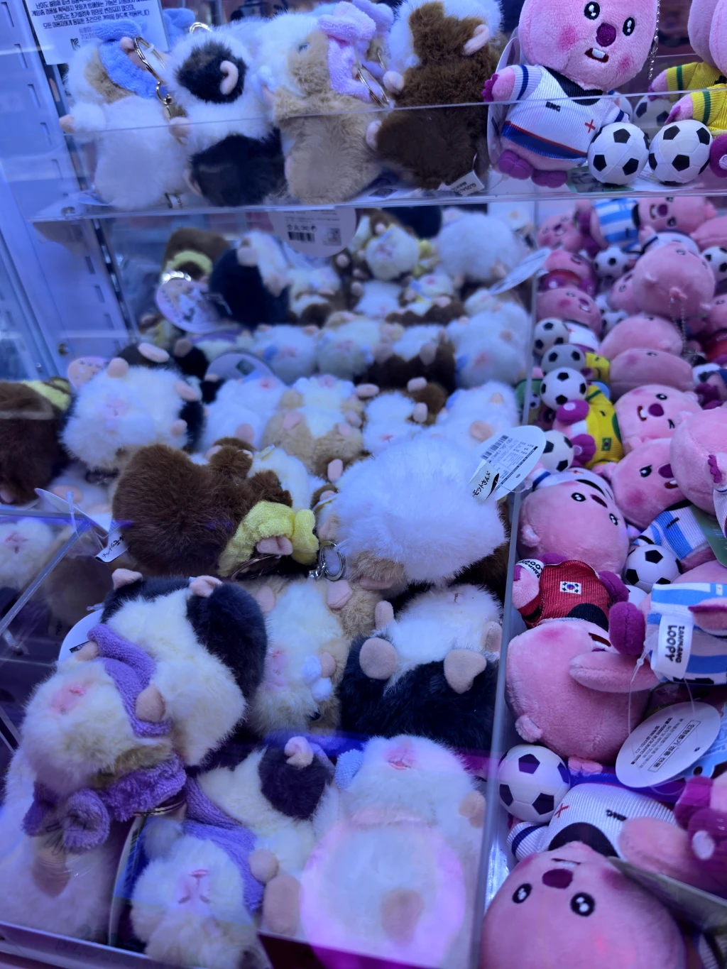 Mini Doll 매장 사진