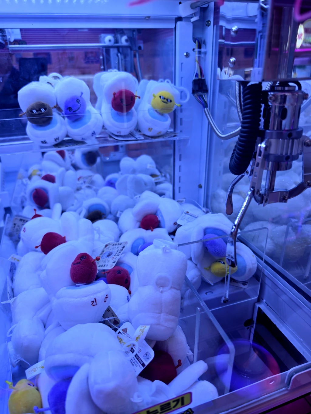 Mini Doll 매장 사진
