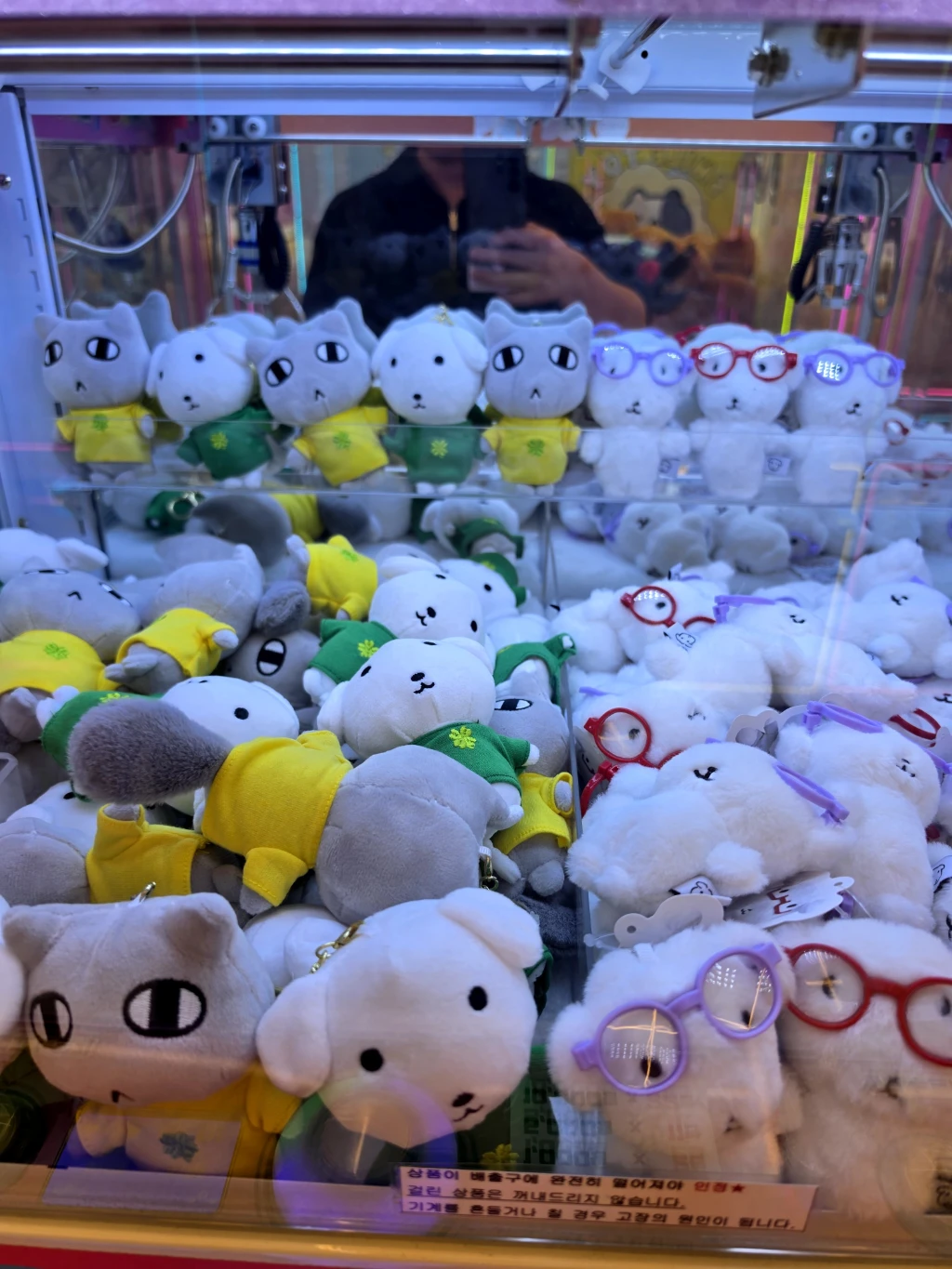 PACHINKO 사용자 등록 사진