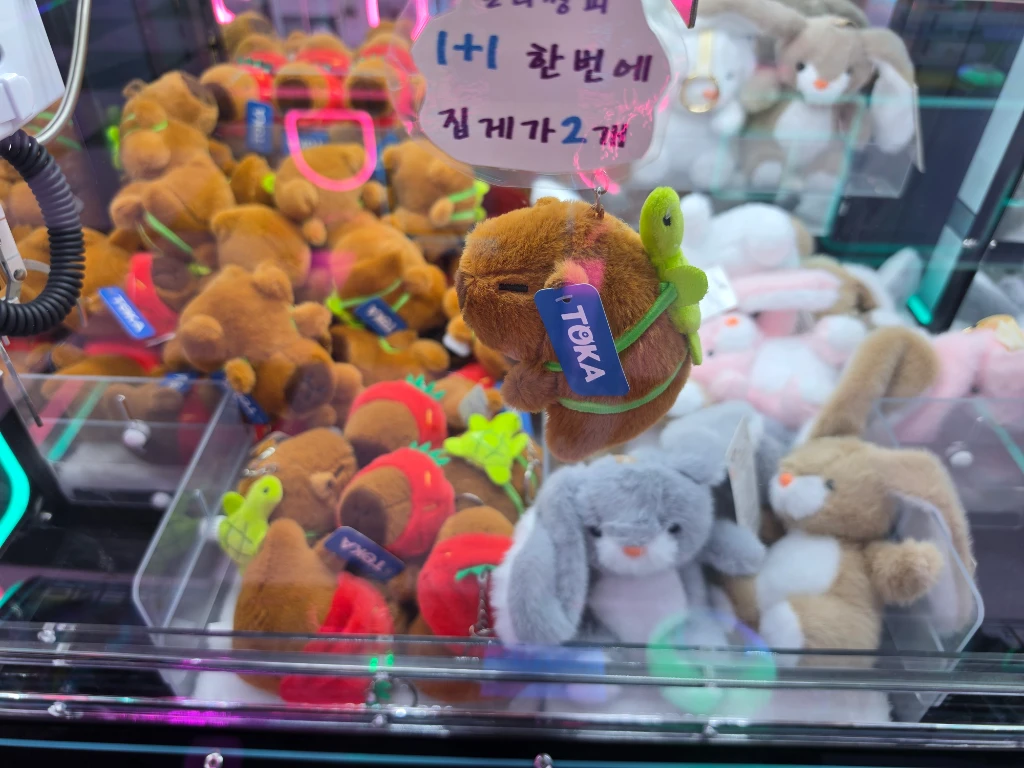 HIT 사용자 등록 사진