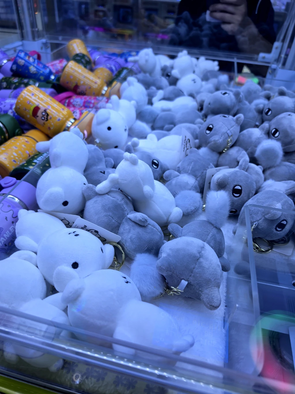 와리가리 매장 사진