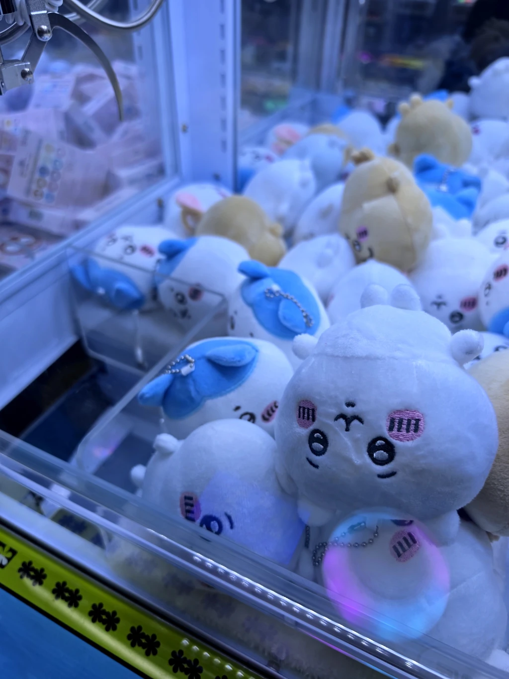 와리가리 사용자 등록 사진