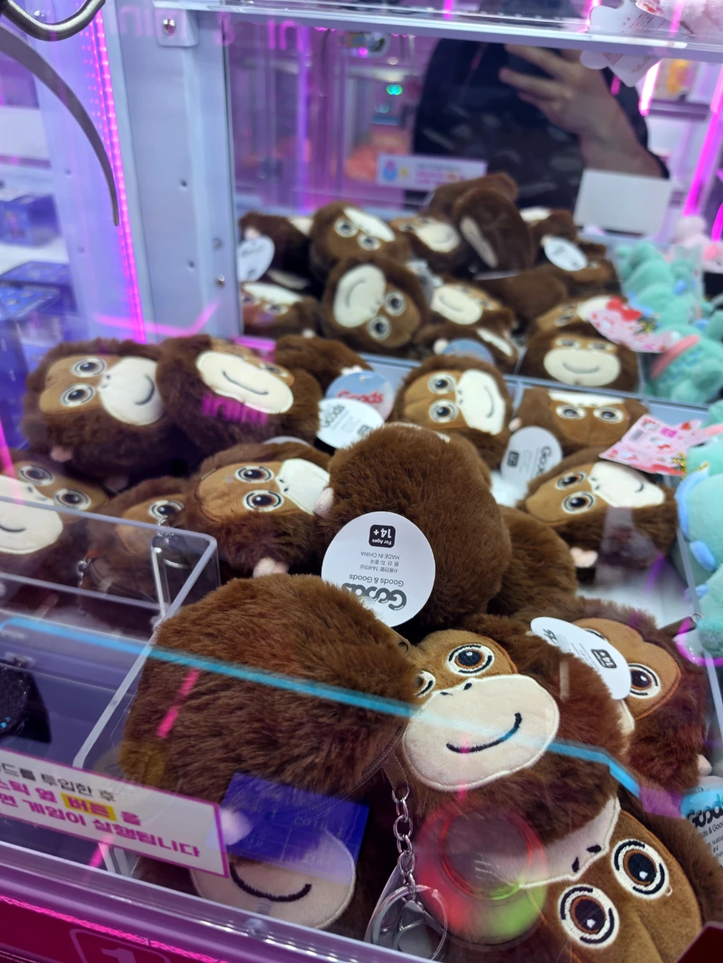 미니뽑기 매장 사진