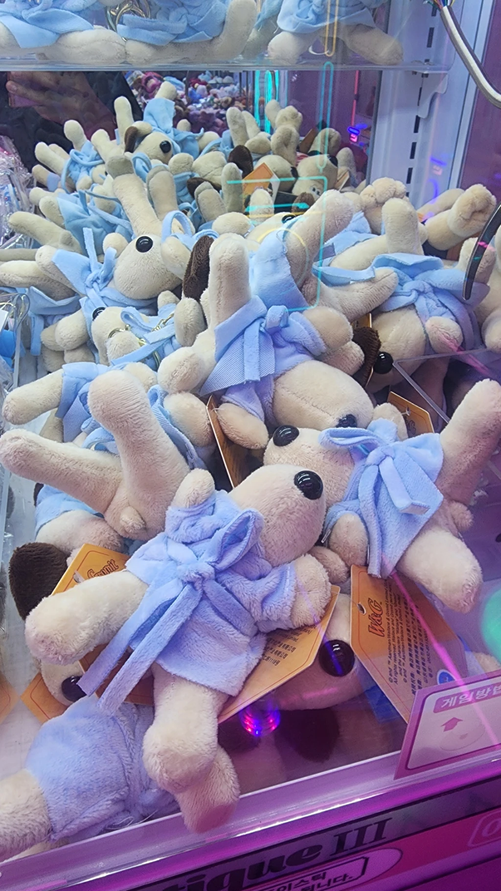 팡팡랜드 매장 사진