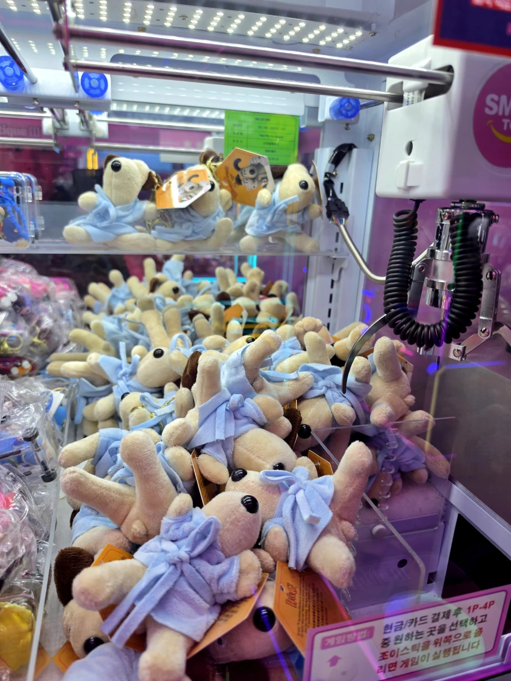 팡팡랜드 매장 사진