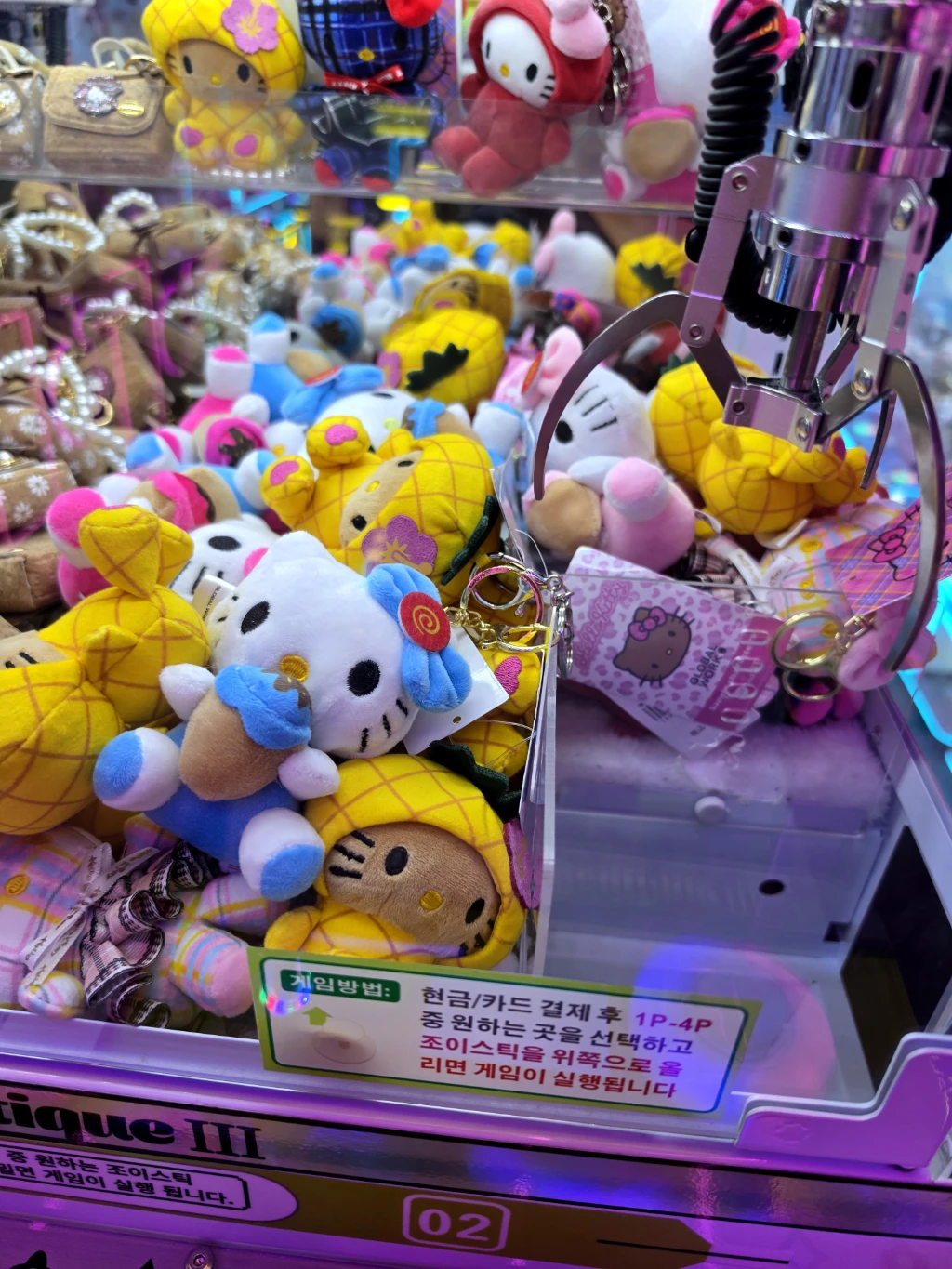 팡팡랜드 사용자 등록 사진