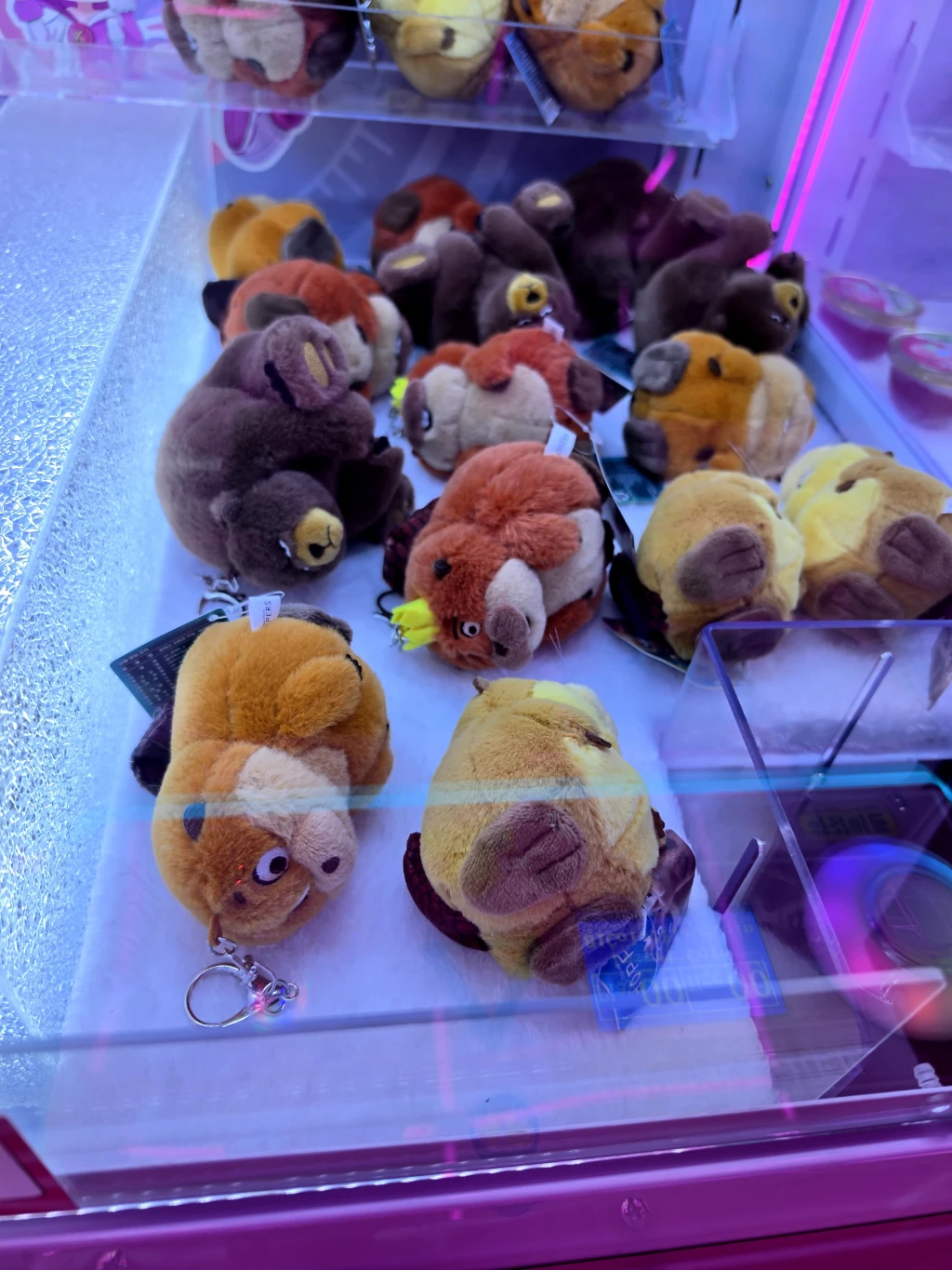BONGBONG GAME'S 강서점 매장 사진