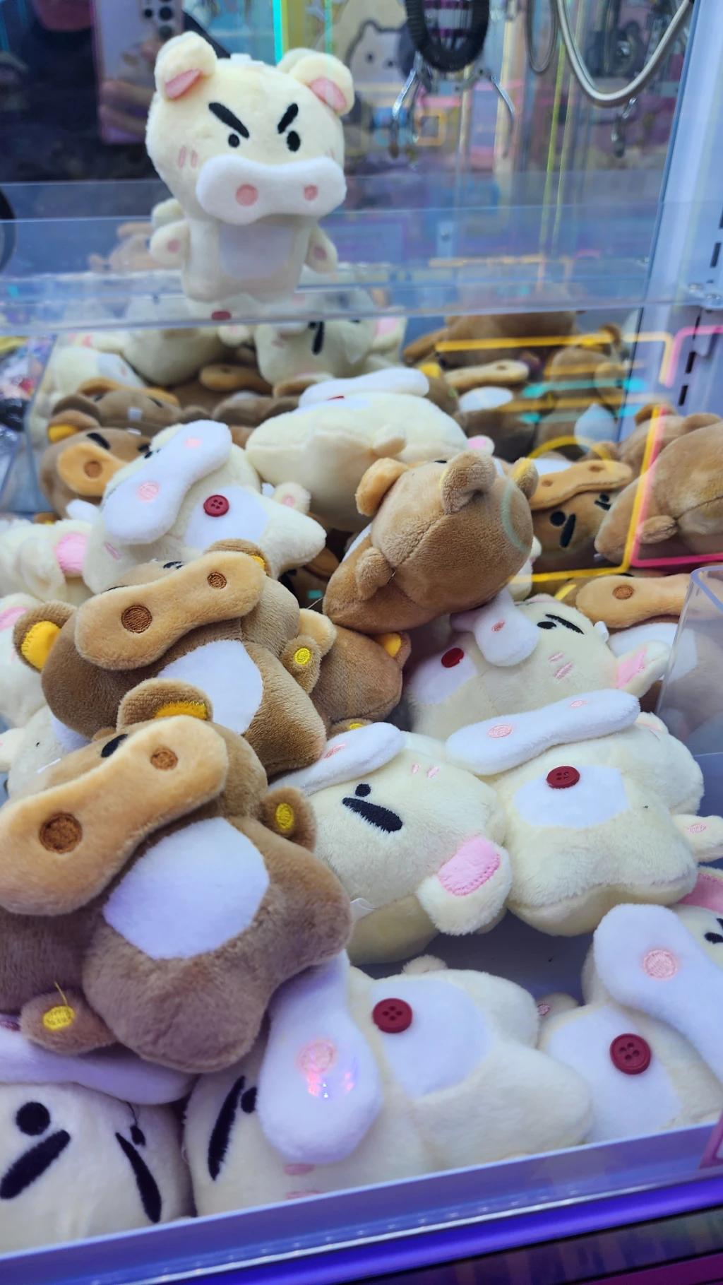 짱짱인형뽑기 매장 사진