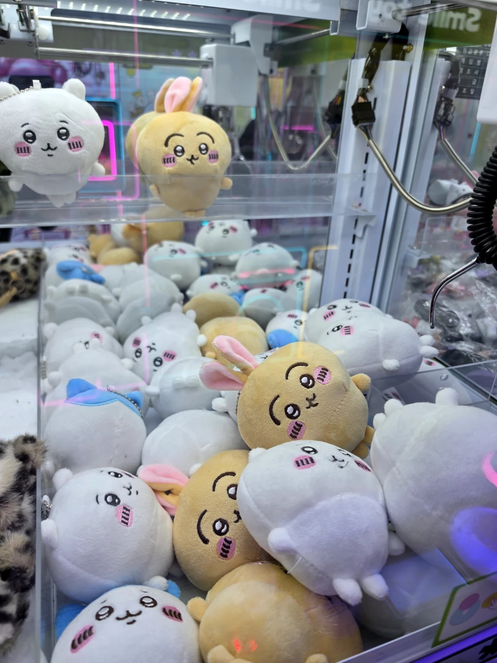짱짱인형뽑기 매장 사진