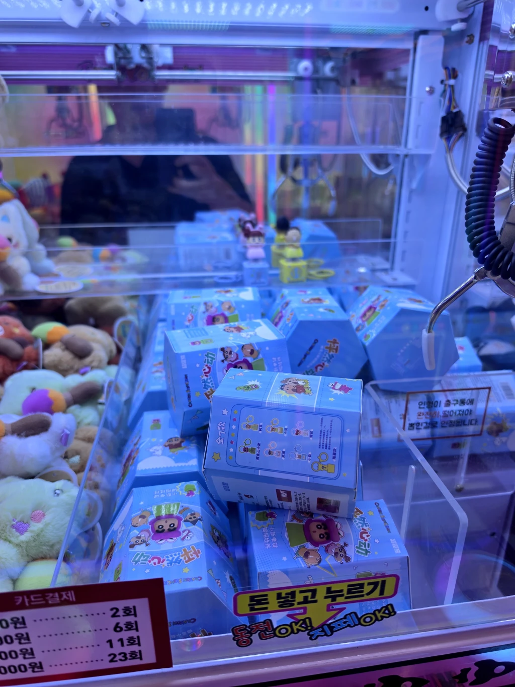 더플레이(PREMIUM THE PLAY GACHA SHOP) 매장 사진