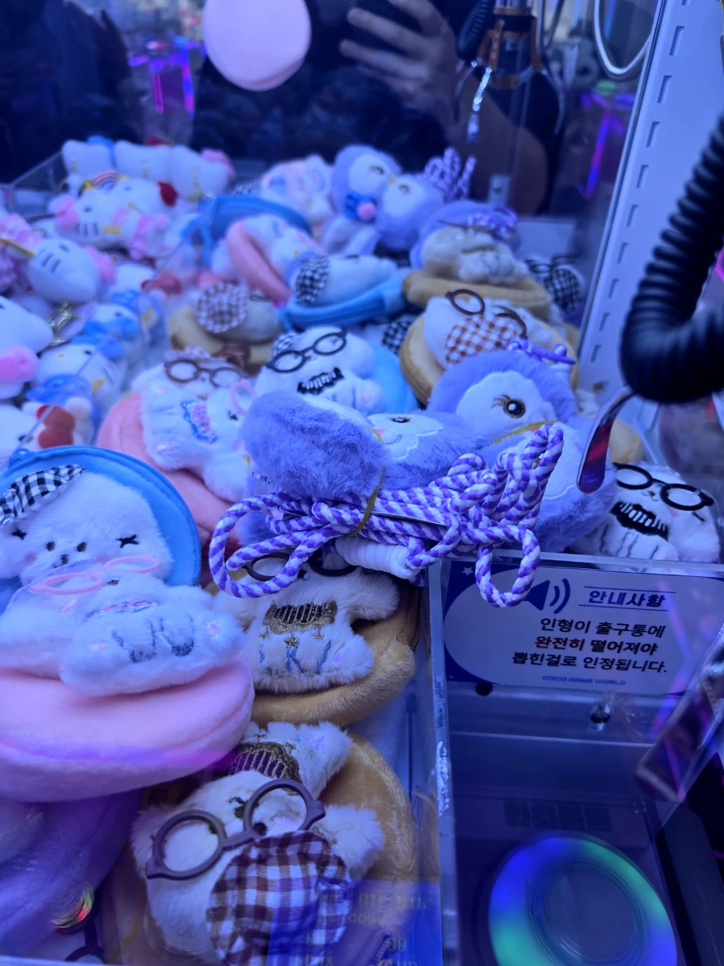 코코 불당점 사용자 등록 사진