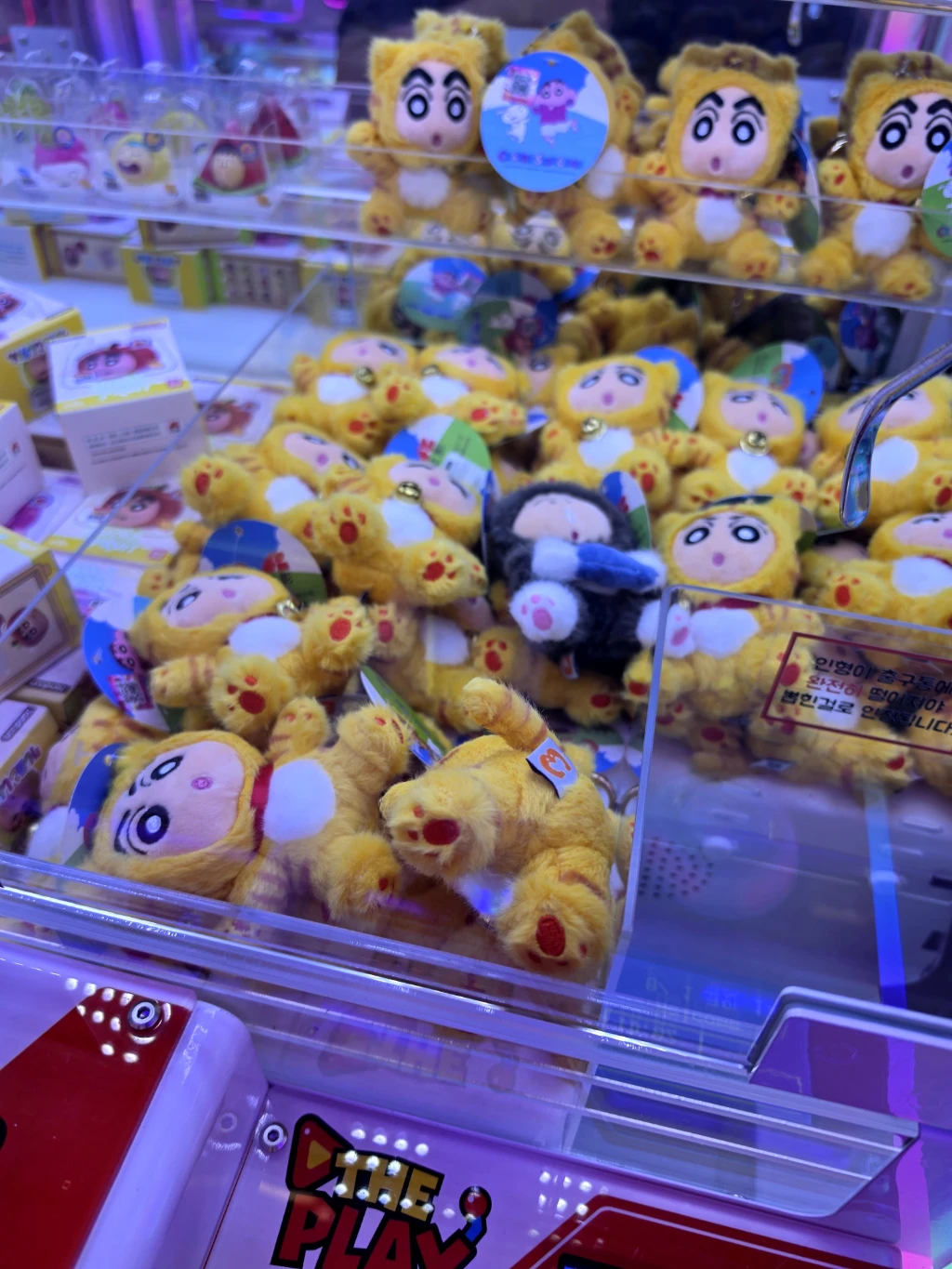더플레이(PREMIUM THE PLAY GACHA SHOP) 매장 사진
