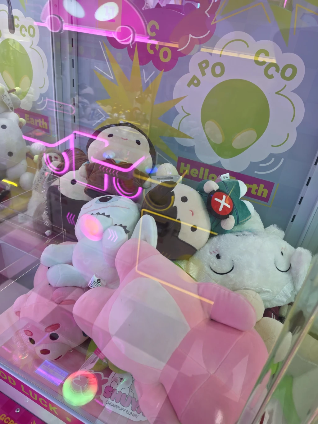 찌꼬뽀꼬 매장 사진
