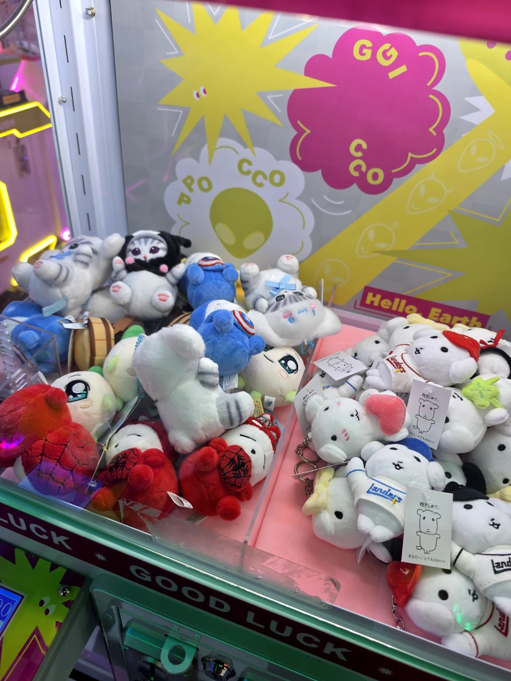 찌꼬뽀꼬 사용자 등록 사진