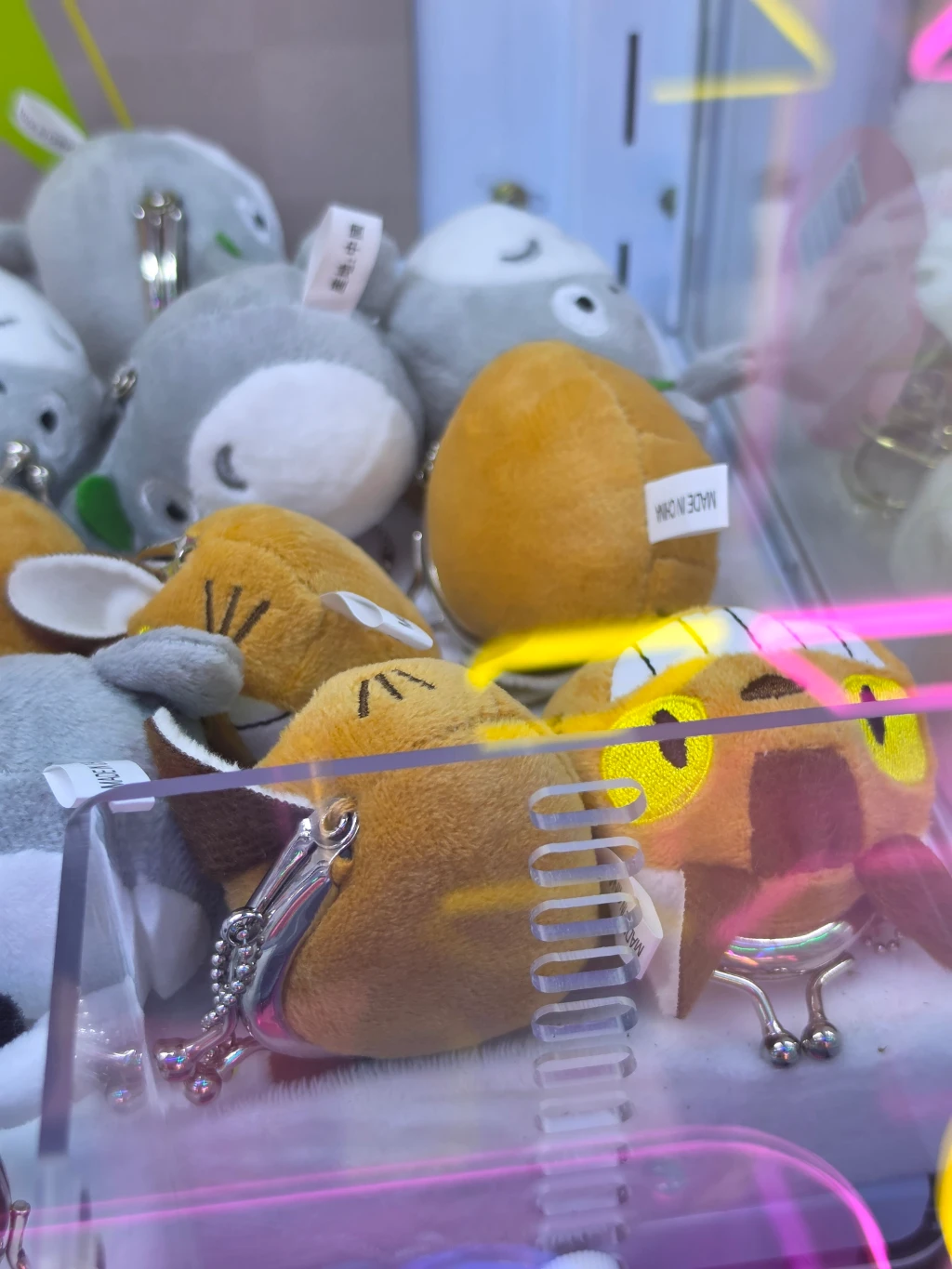 찌꼬뽀꼬 방문 후기 사진