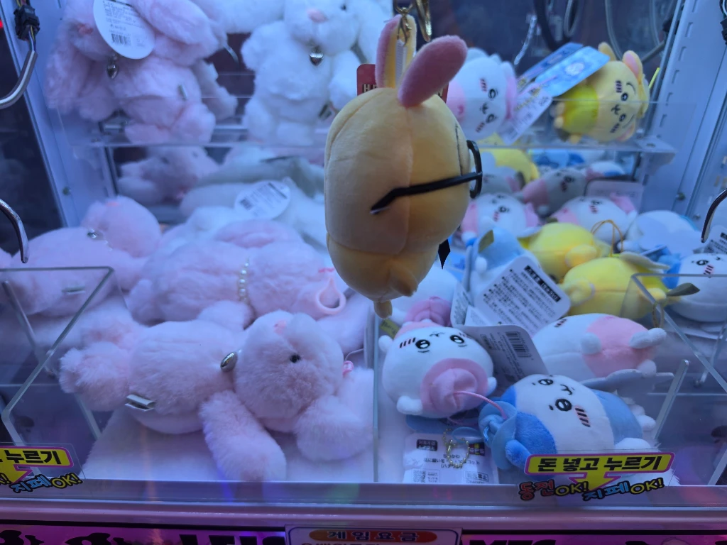 그랩킹 사용자 등록 사진