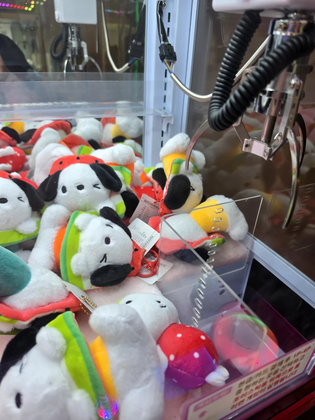 TOY LAND 매장 사진