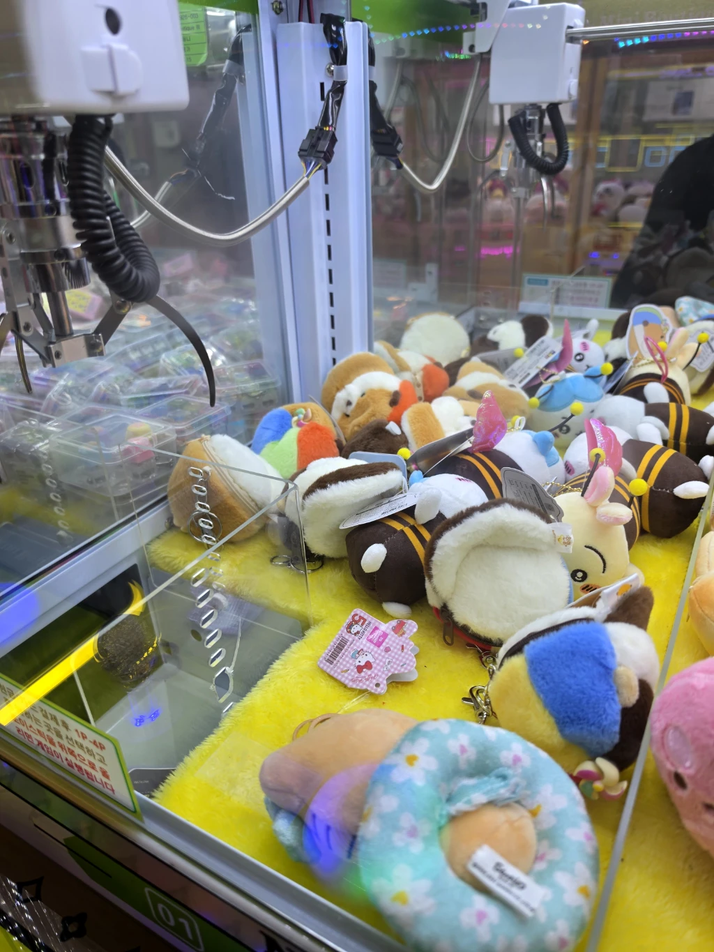 TOY LAND 사용자 등록 사진