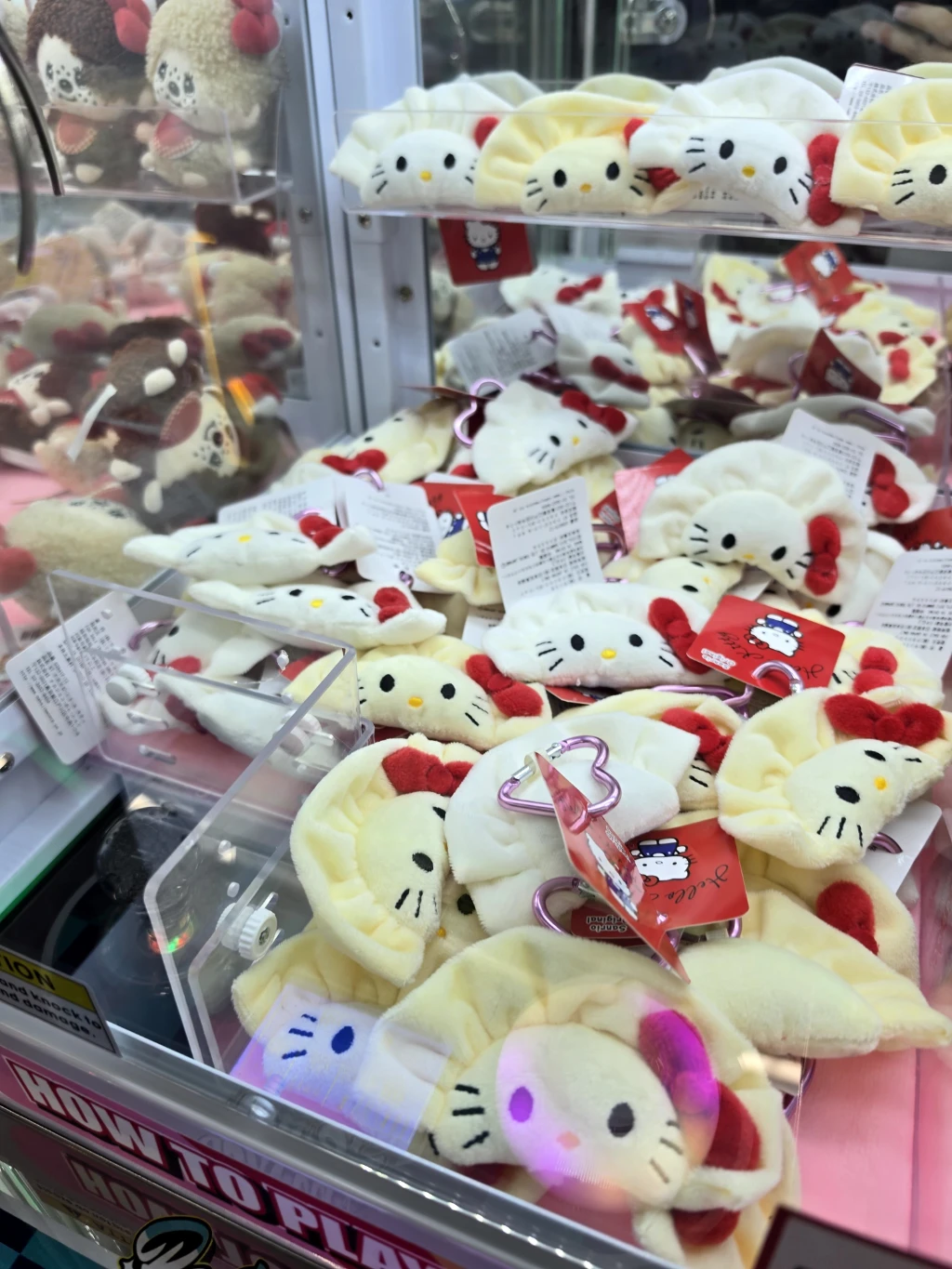 헌터독 매장 사진