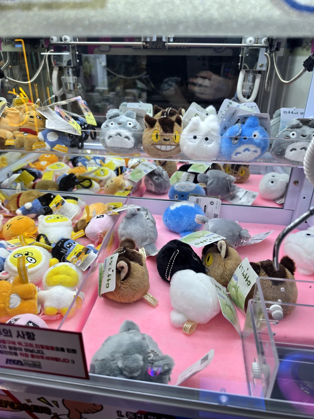 헌터독 매장 사진