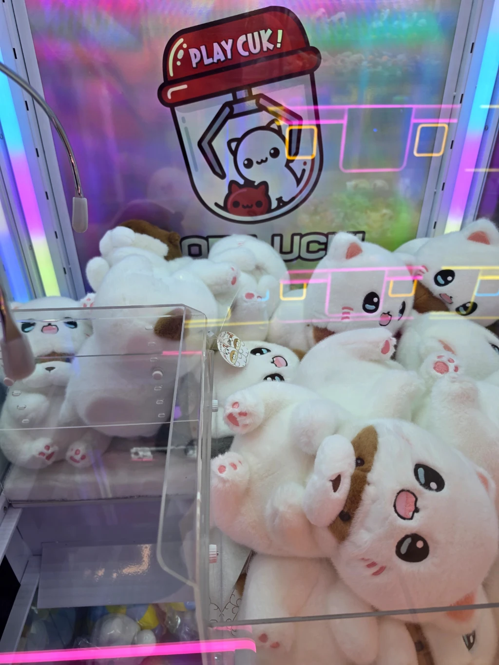 캐치팡팡 매장 사진