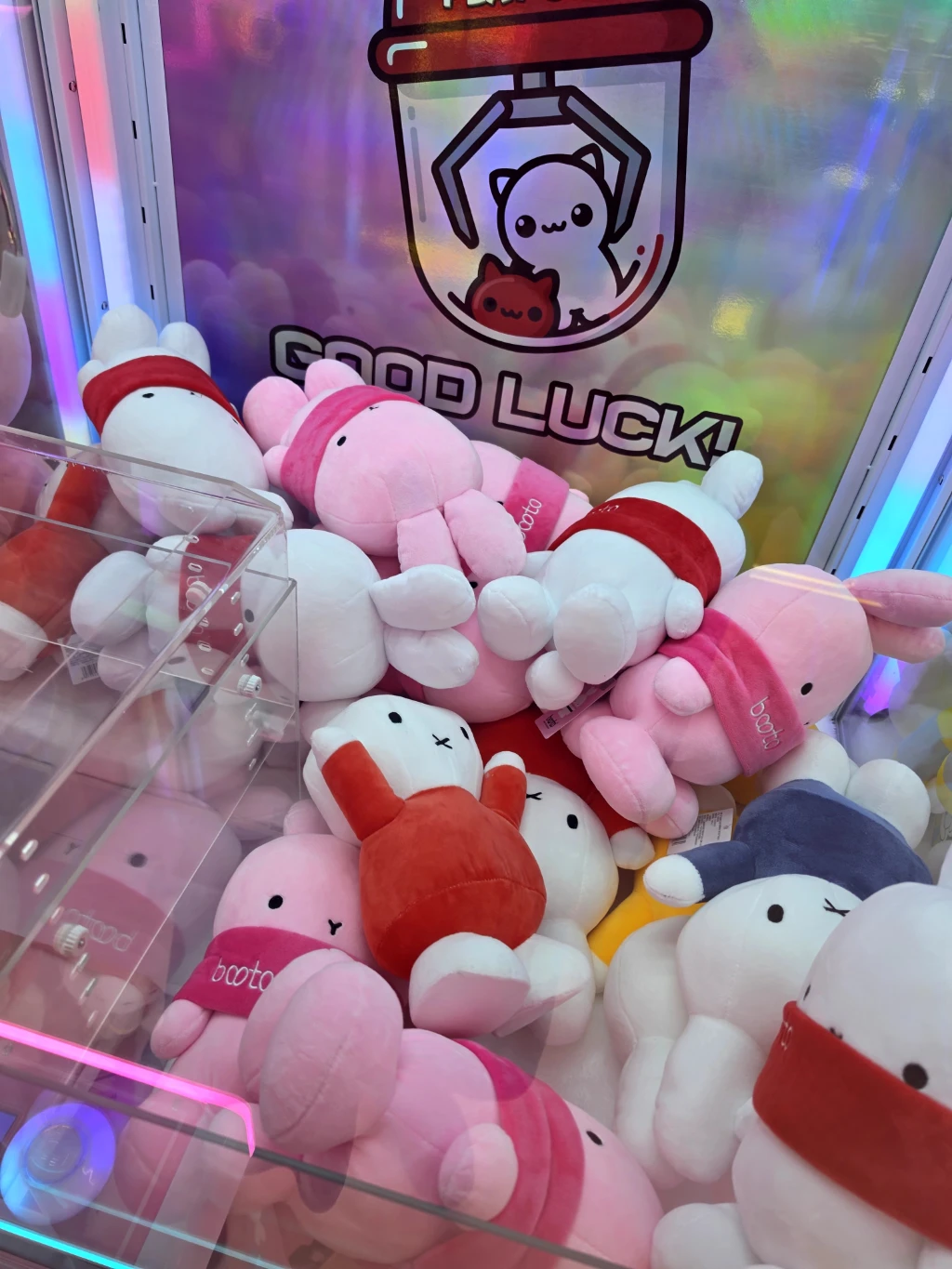 캐치팡팡 사용자 등록 사진