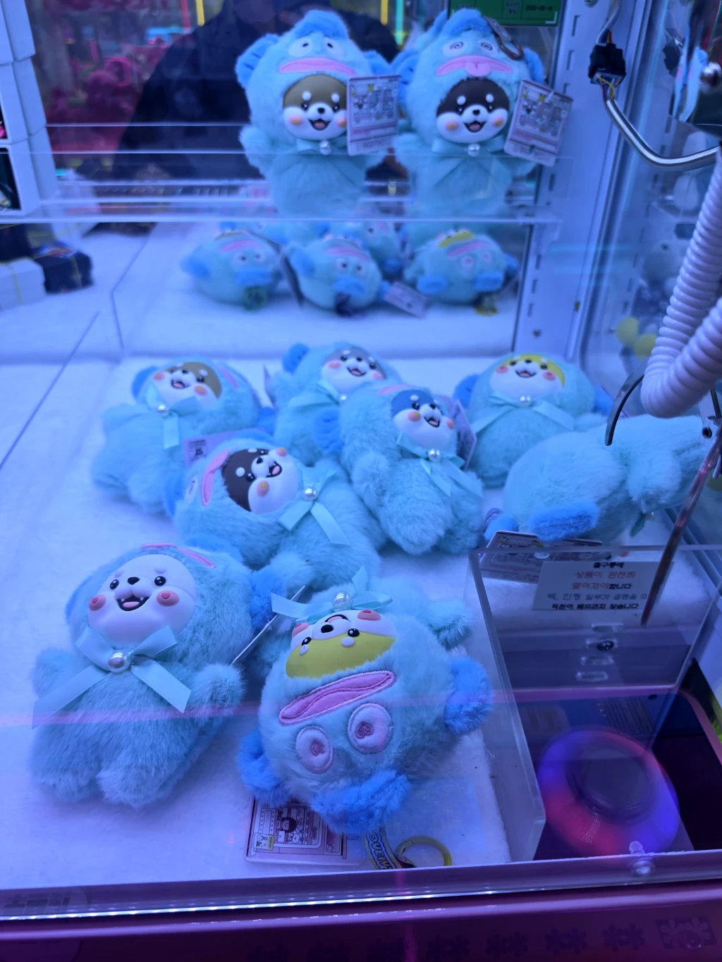 도파민(DOPAMINE) 매장 사진