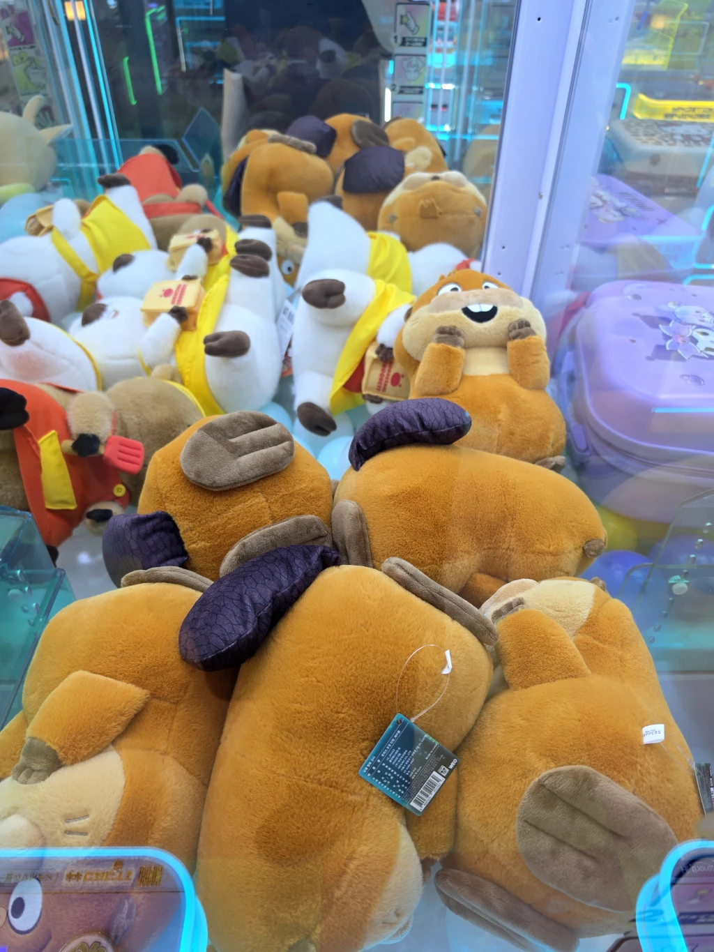 GAME ZONE 사용자 등록 사진