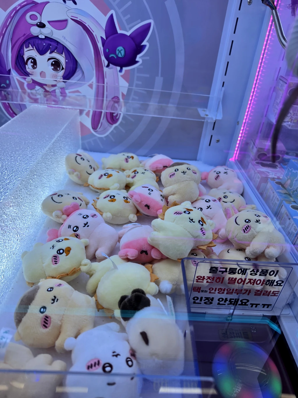 사격팡 대전유성점 매장 사진