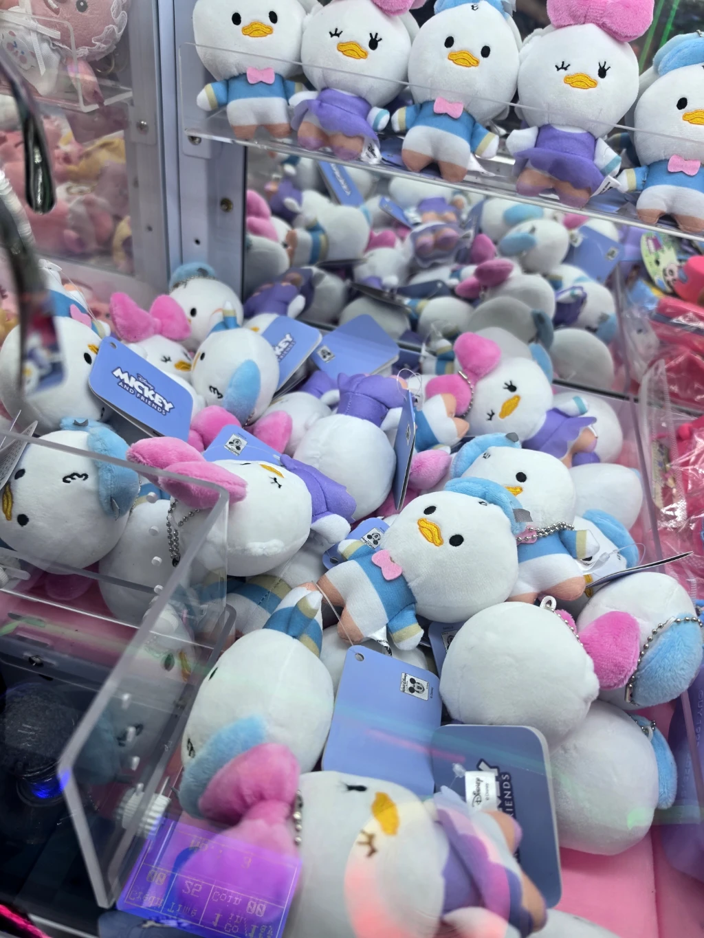 헌터독 사용자 등록 사진