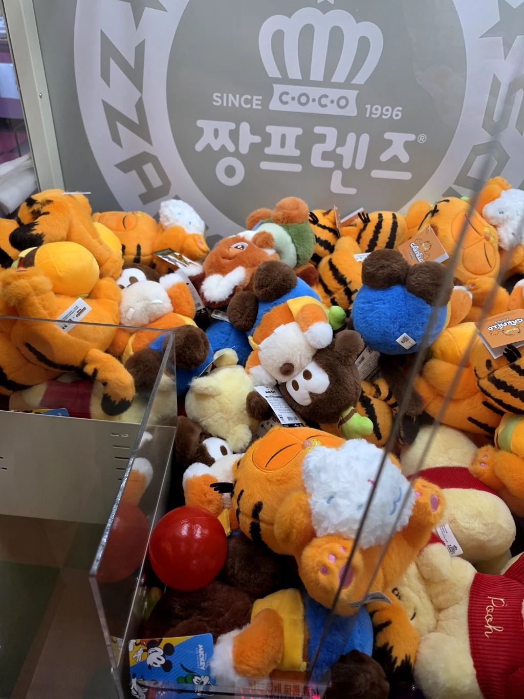짱오락실 사용자 등록 사진