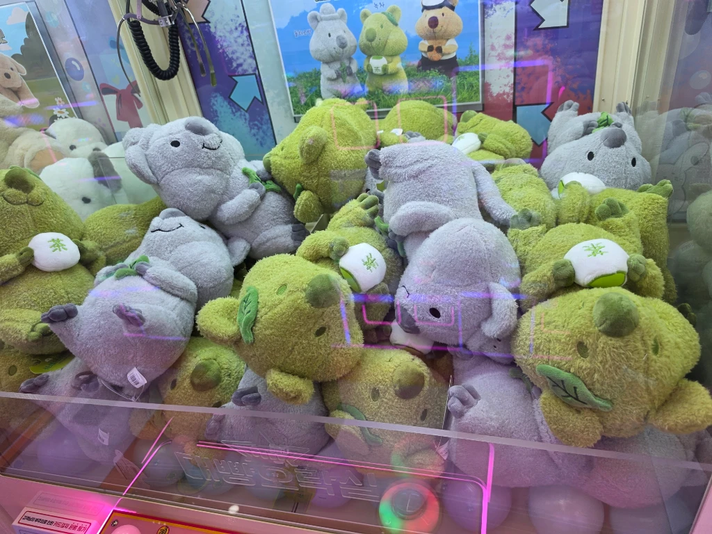 대빵 인형뽑기 대전 둔산점 매장 사진