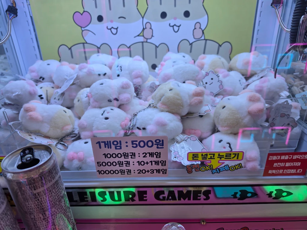 대빵 인형뽑기 대전 둔산점 매장 사진