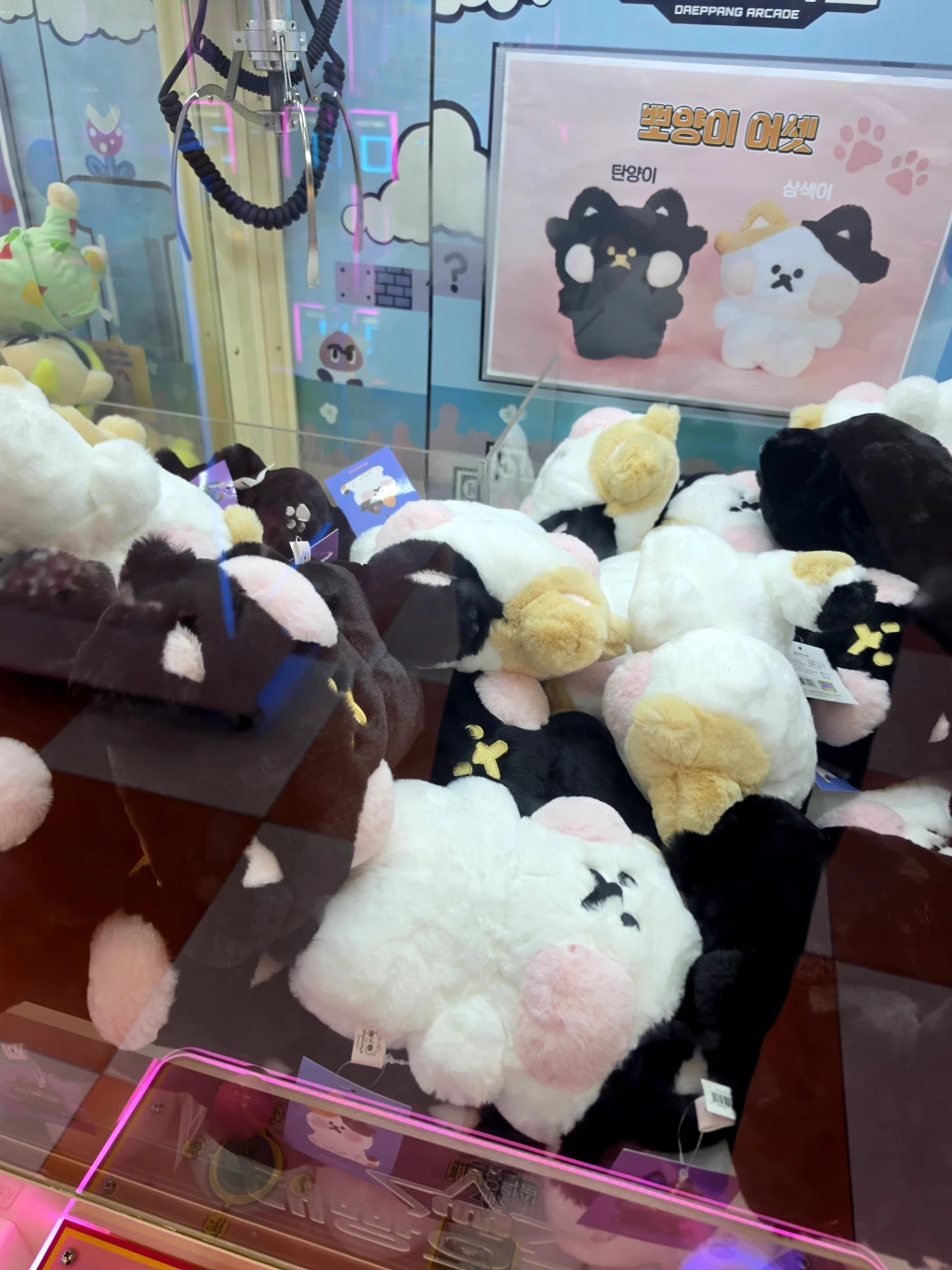 대빵 인형뽑기 대전 둔산점 사용자 등록 사진