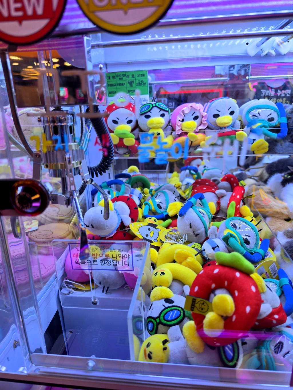 스티커즈 대전둔산점 매장 사진