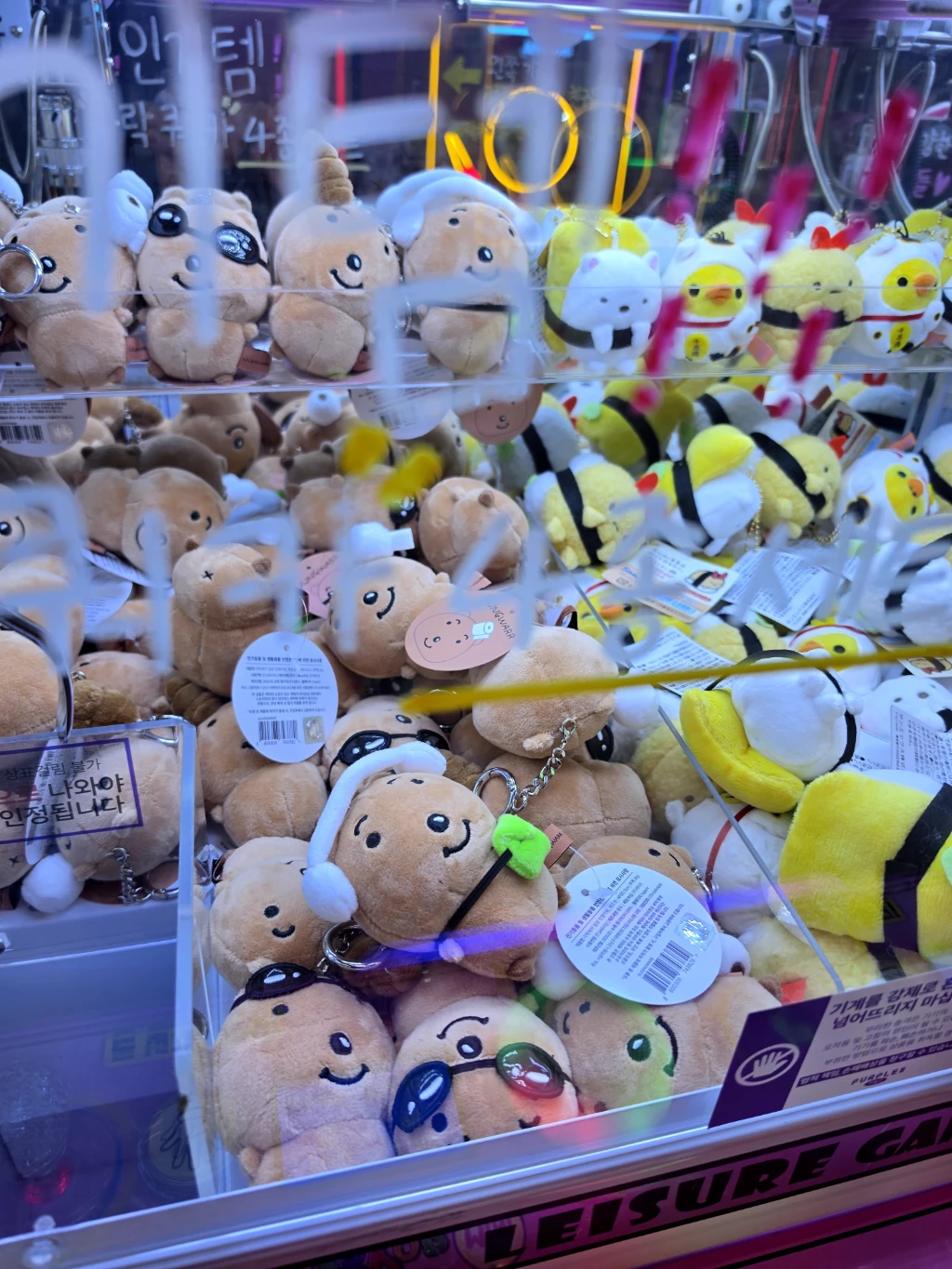 스티커즈 대전둔산점 사용자 등록 사진