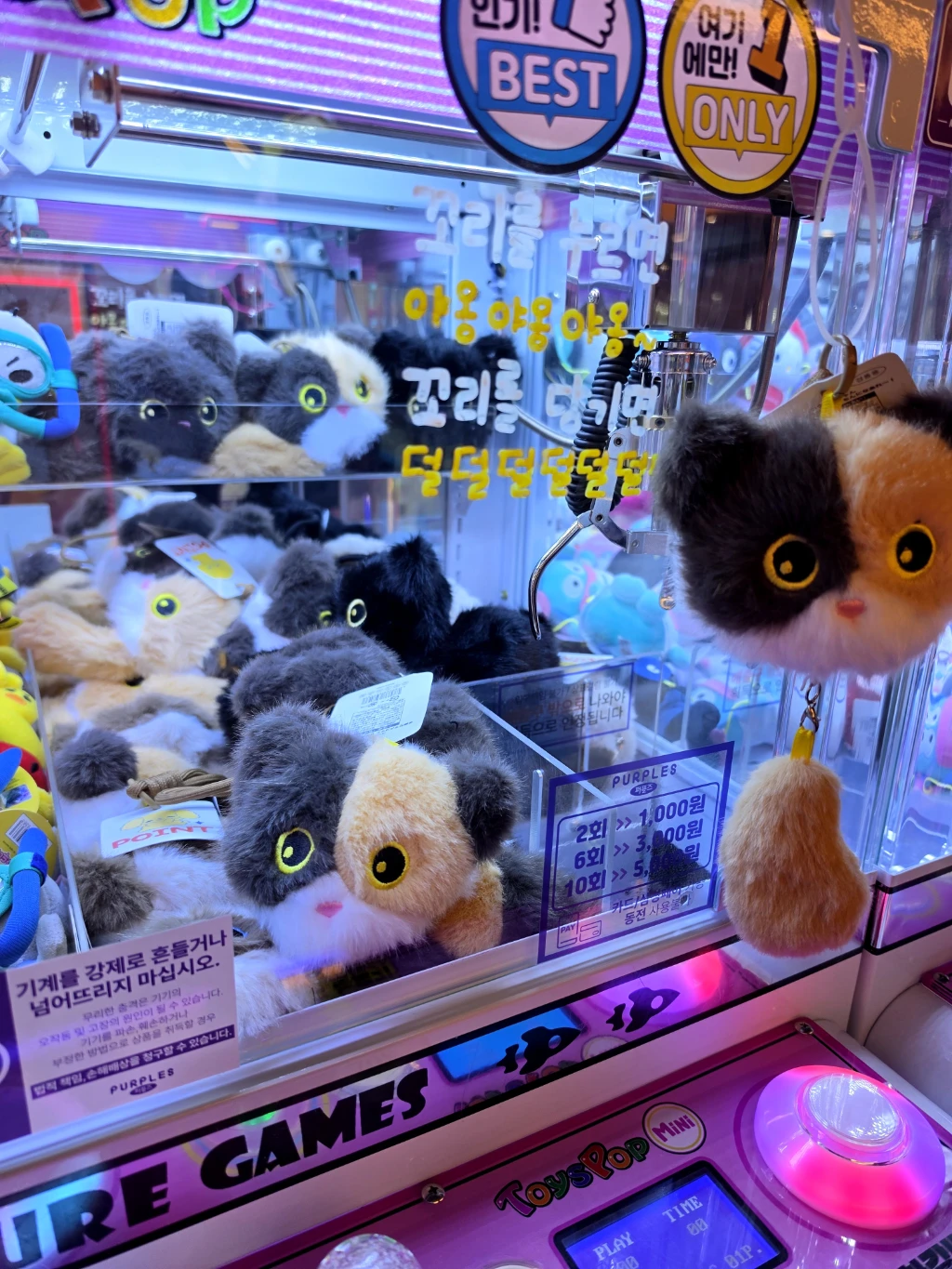 스티커즈 대전둔산점 매장 사진
