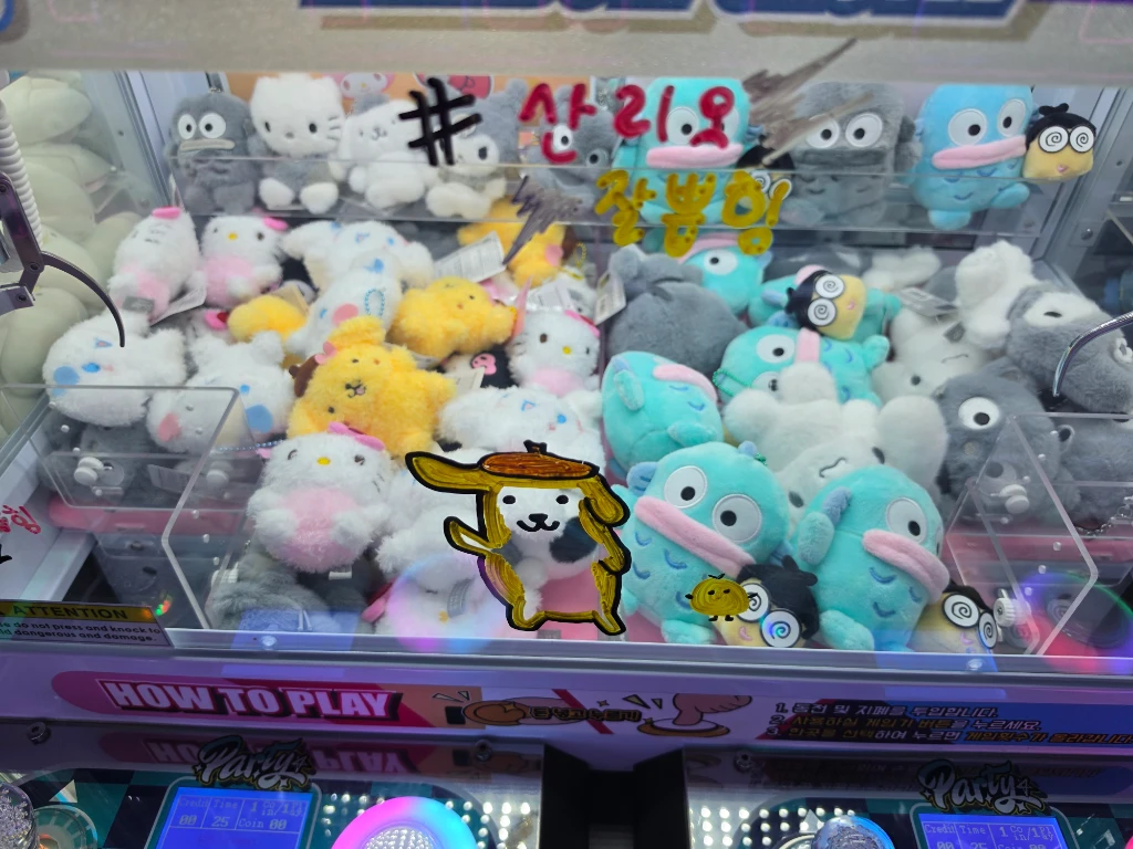 원더랜드 둔산점 매장 사진